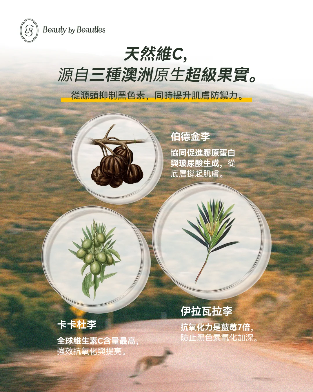 Wildcrafted Organics 天然維C美白精華 - Image 11