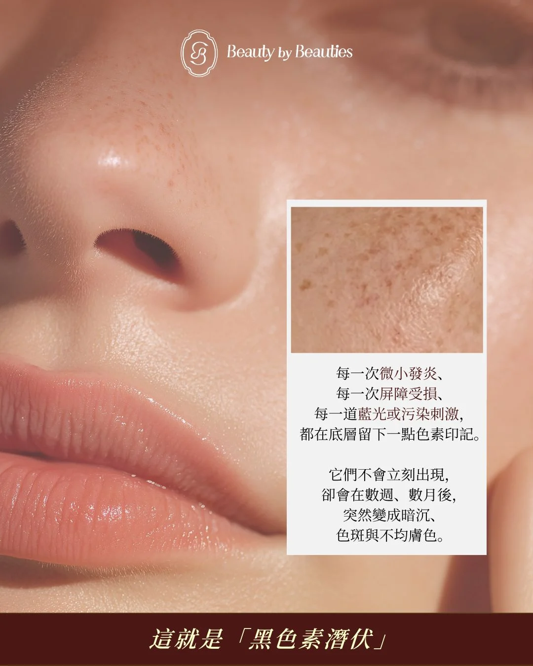 Catarina Barbosa Skincare Sophia 舒緩光采養膚液 - Image 5