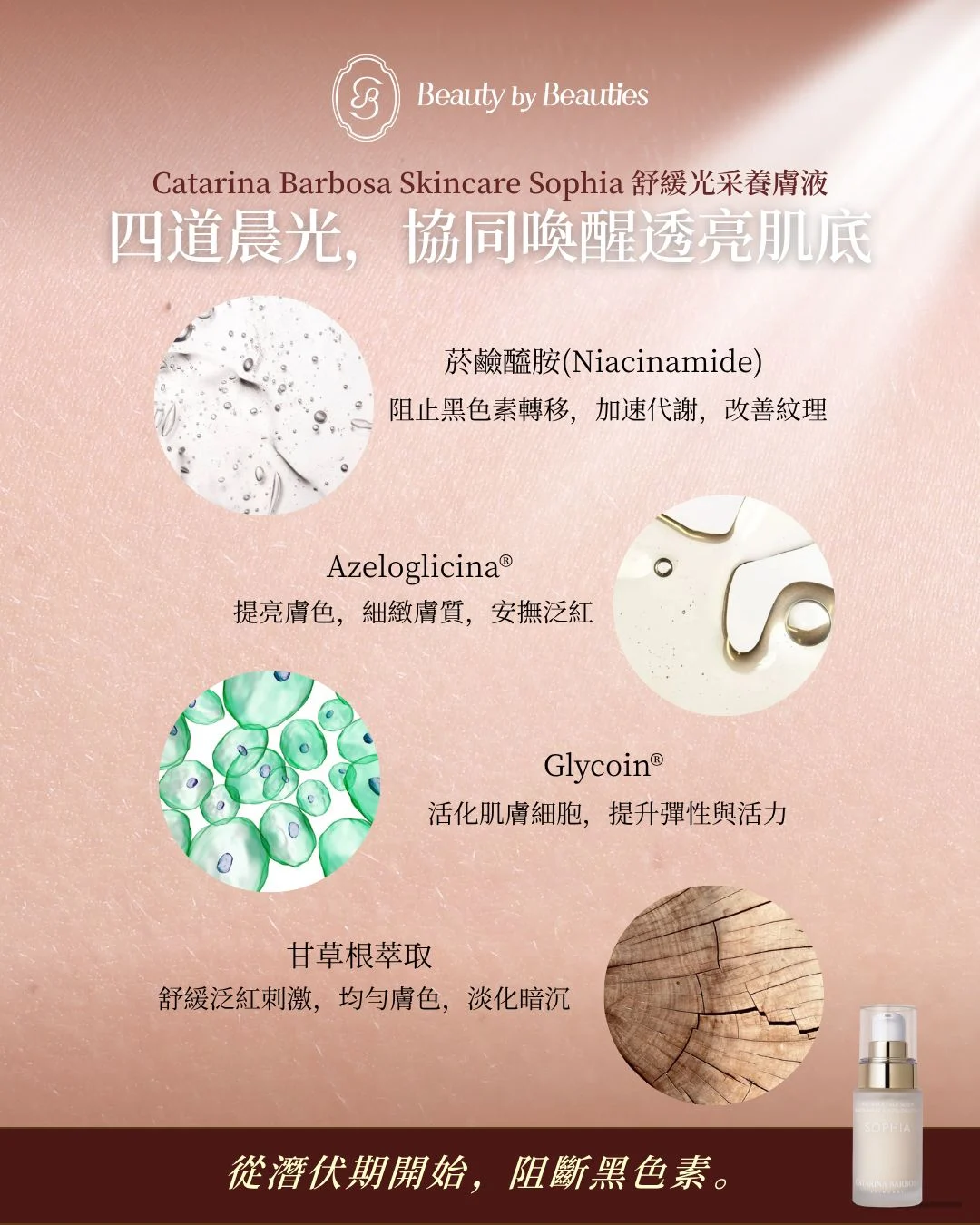 Catarina Barbosa Skincare Sophia 舒緩光采養膚液 - Image 6